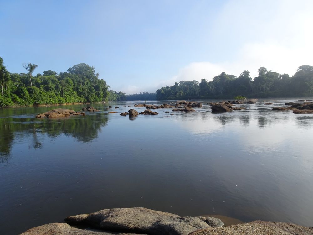 Oyapock River