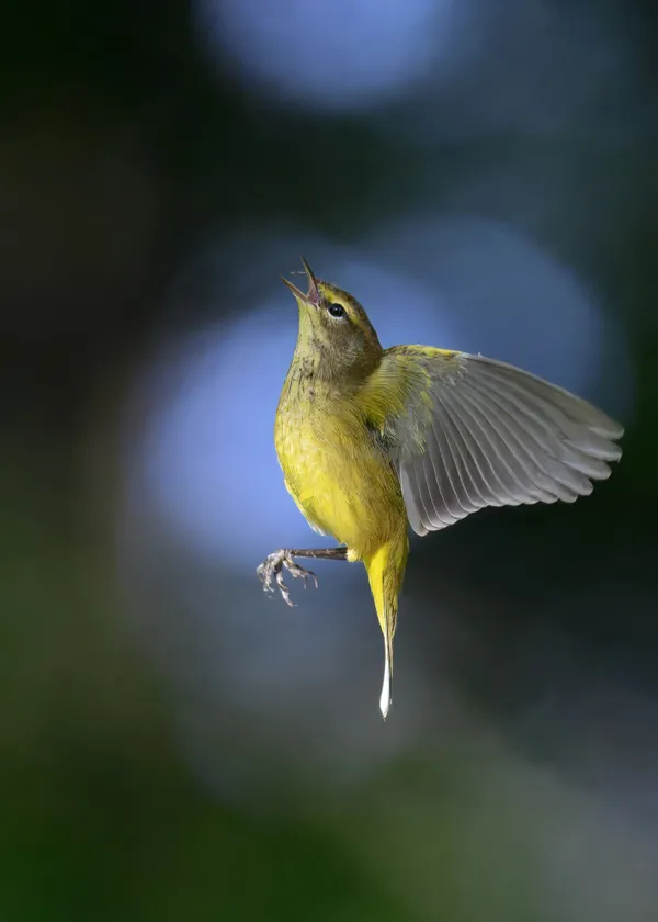 Debugging in Flight thumbnail