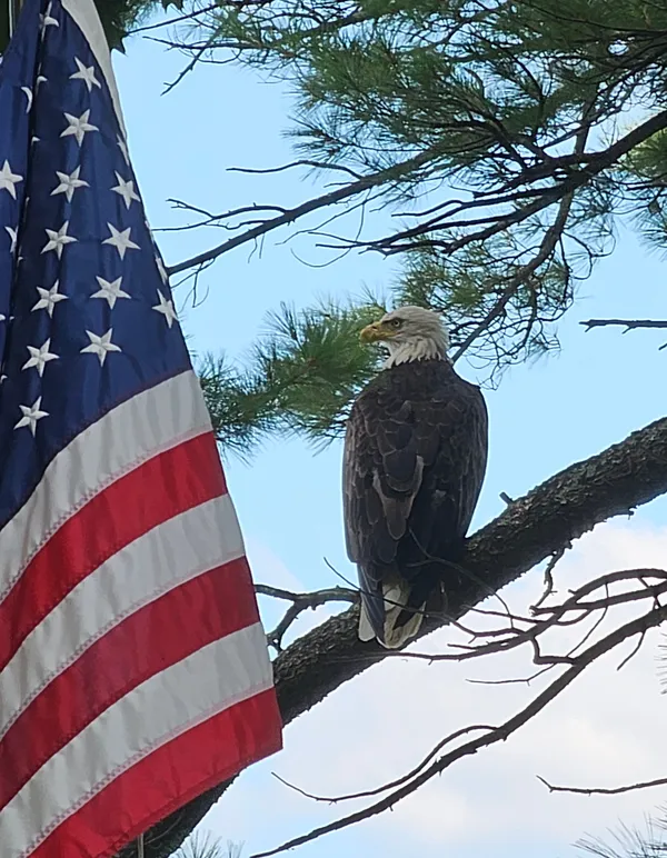 Wonderful Gift thumbnail