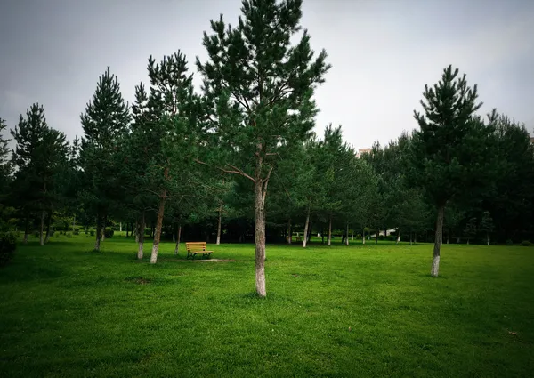 Green Shadow Leisure Courtyard thumbnail