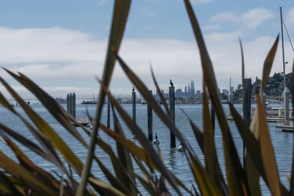 Sausalito Harbor thumbnail
