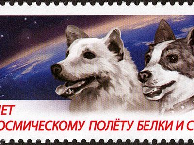 Russian stamp commemorating the 50th anniversary of the space flight of Belka and Strelka.