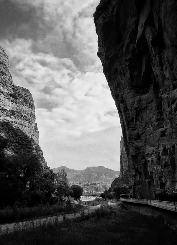 Vitality in the Distance thumbnail