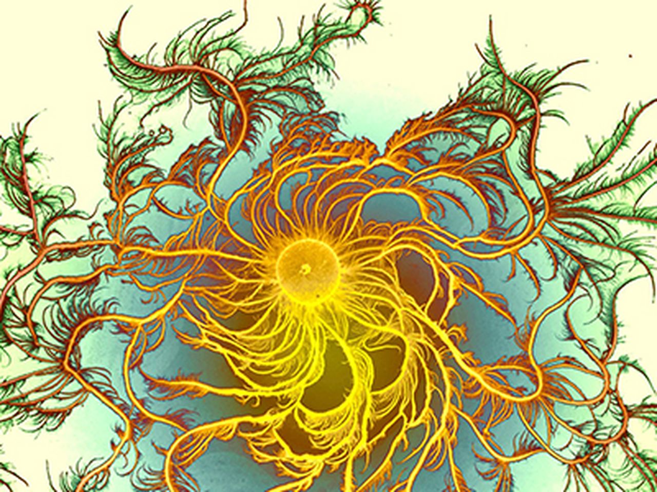 Colonies of Growing Bacteria Make Psychedelic Art