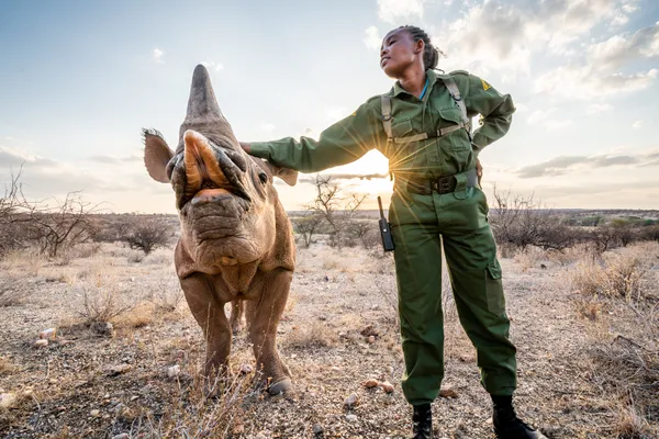 Sera Conservancy Ranger with Orphaned and Endangered Black Rhino Baby thumbnail