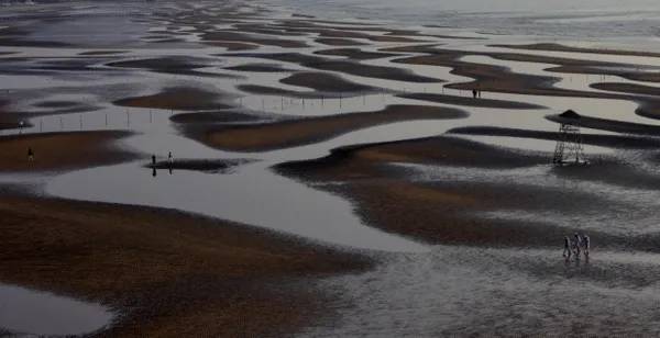 Whispers of the Tide thumbnail