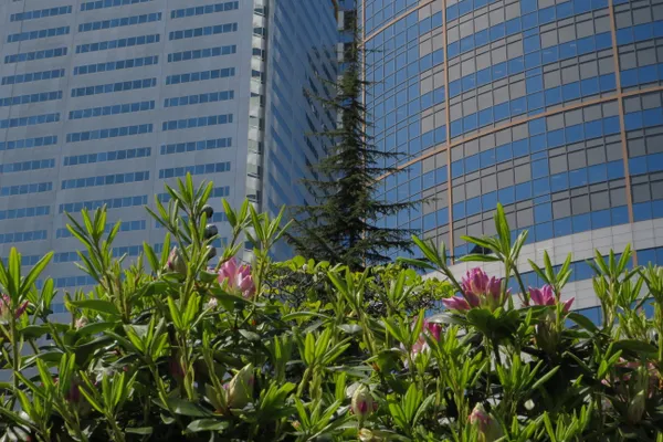 Freeway Park thumbnail