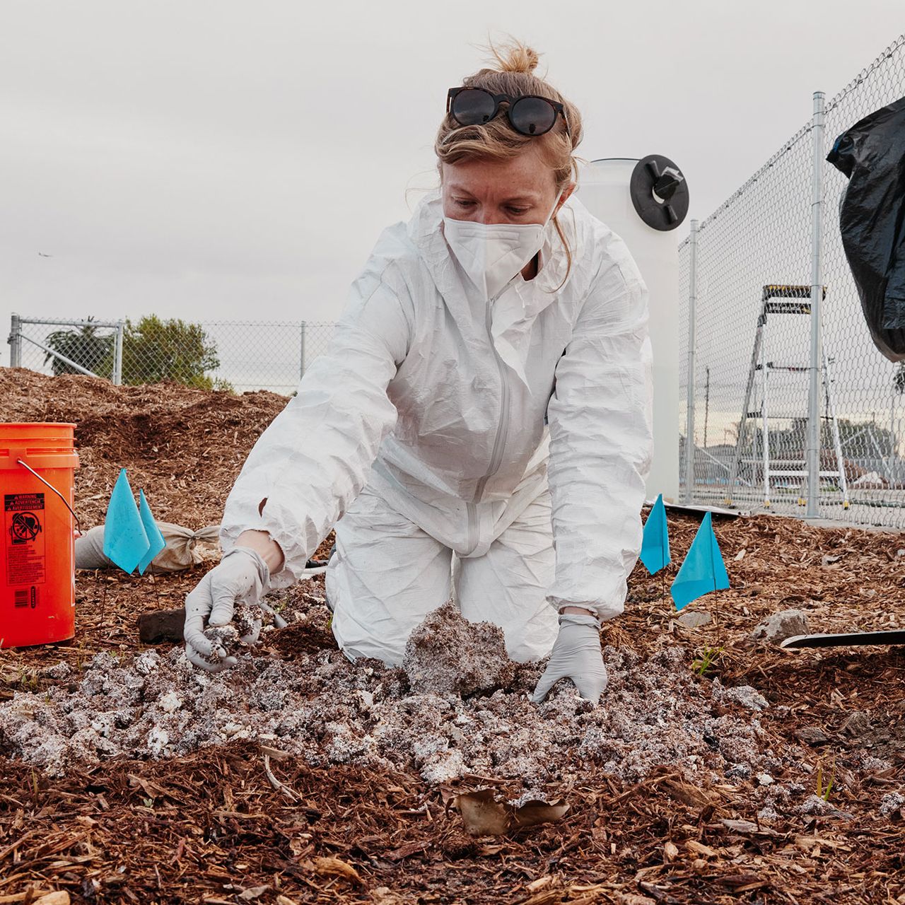 main_danielle-spreading-fungal