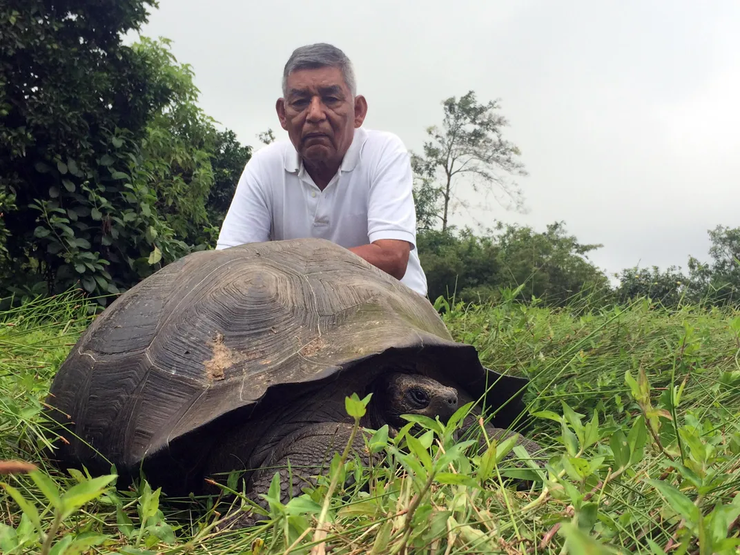 New Species of Galapagos Tortoise Found on Santa Cruz Island