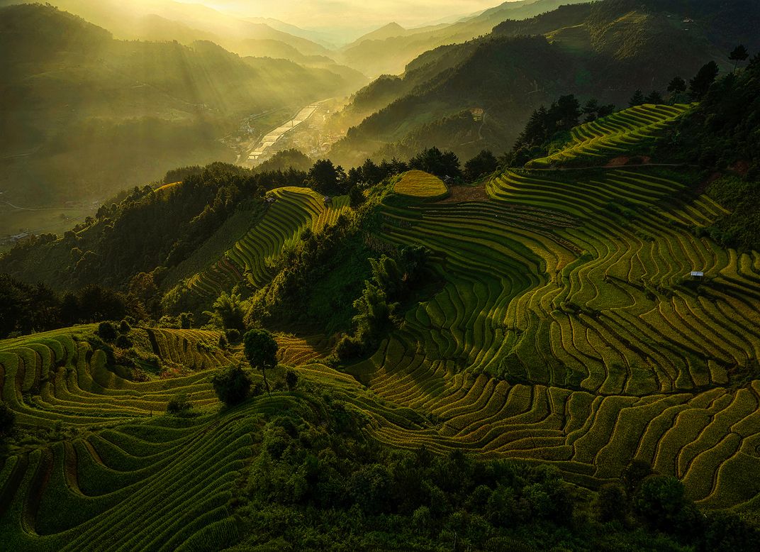 The golden rays | Smithsonian Photo Contest | Smithsonian Magazine