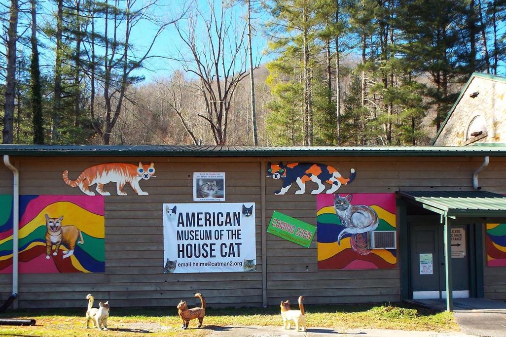 House Cat Museum