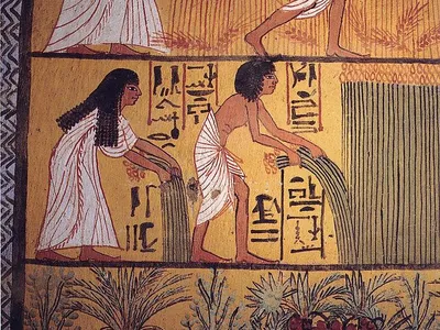 Egyptians bringing in the harvest