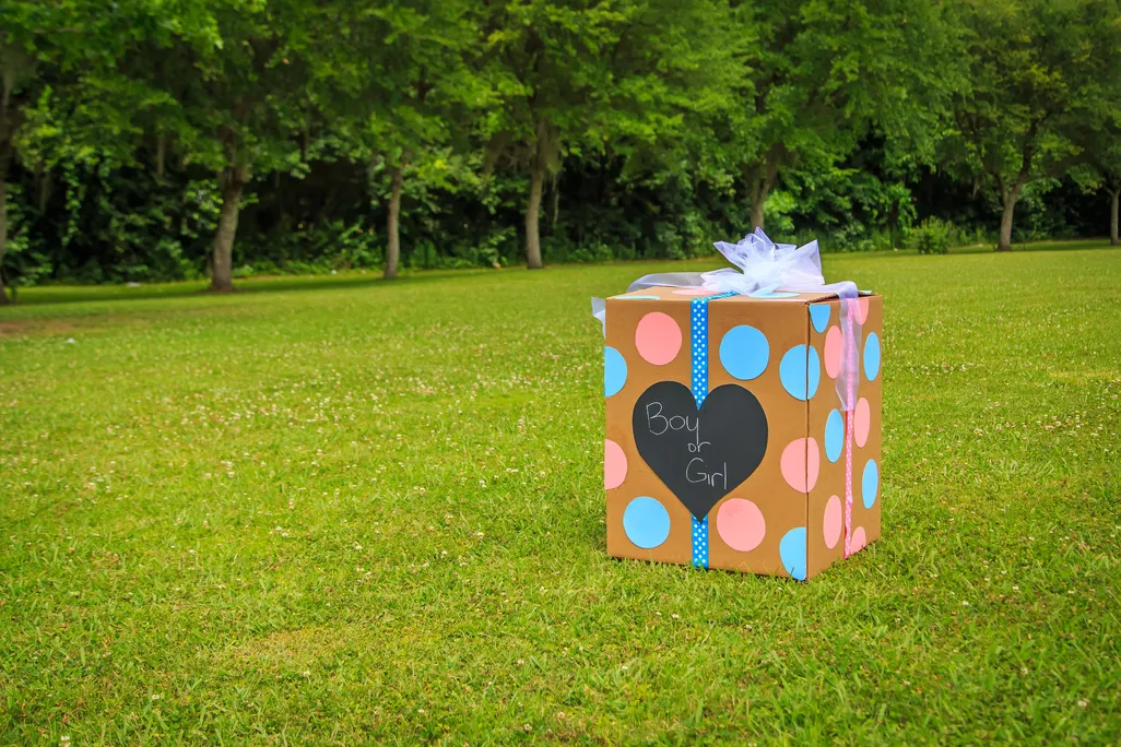 Gender Reveal