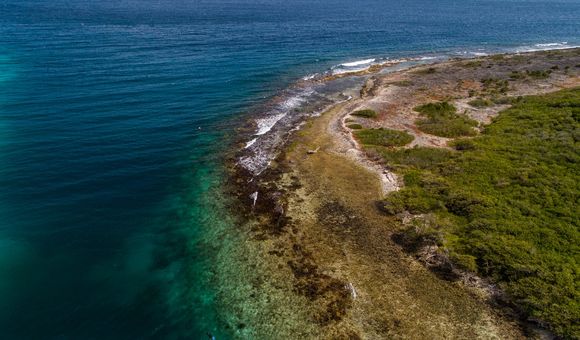 The coast on the island of Curaçao