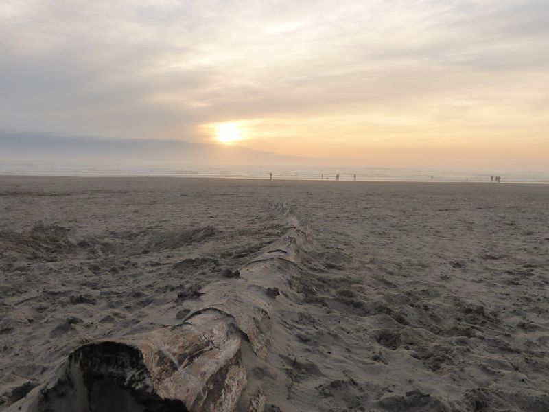 Twilight beach | Smithsonian Photo Contest | Smithsonian Magazine