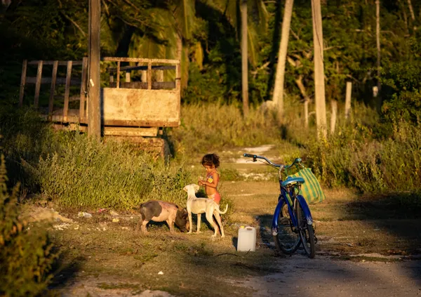 Food for Friends thumbnail