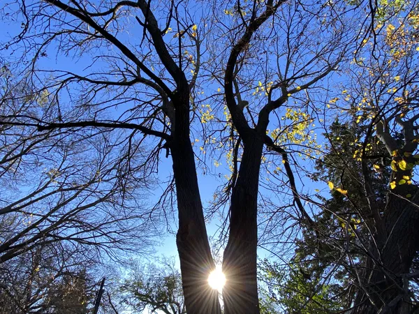 Sunrise Split thumbnail