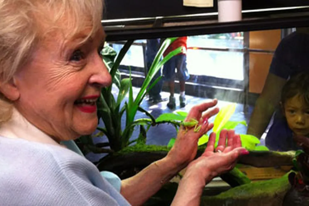 Actress Betty White holds a lemur leaf frog during her tour today at the National Zoo