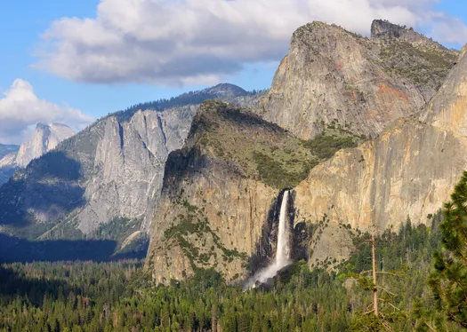 Treasures of Yosemite