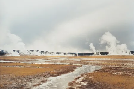 Untitled, Distant Steam Vents; Yellowstone National Park, 2008