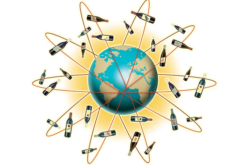 Wines of the World Illustration