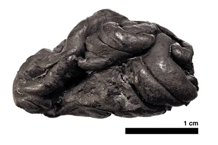 A 5,700-year-old piece of birch tar, chewed as gum, contains the genome, mouth microbes, and even dietary information about its former chewer. 