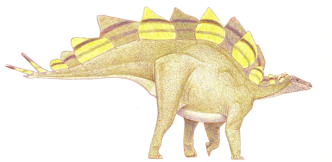 Right-facing Stegosaurus drawing with alternating brown and yellow plates along its back.  