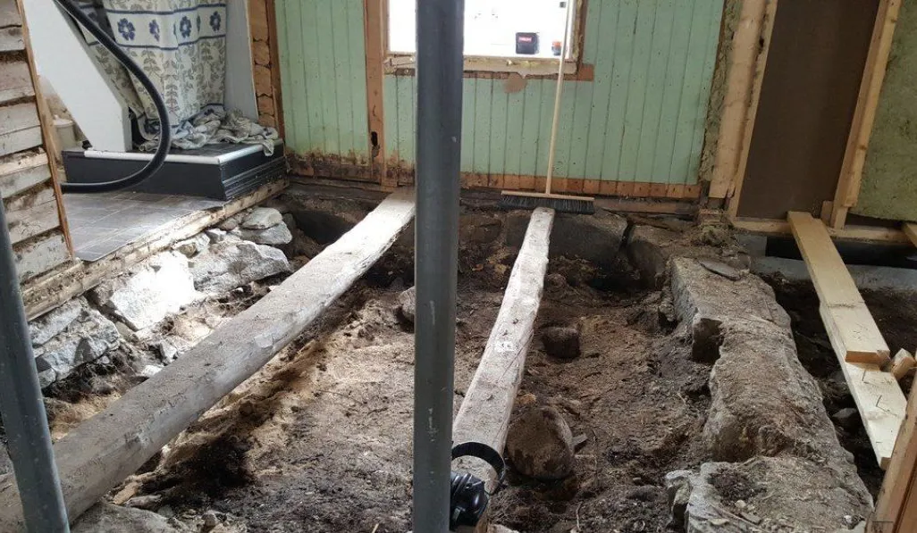 Viking burial