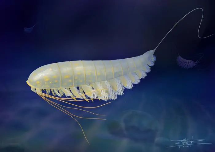 Life reconstruction of Lomankus edgecombei