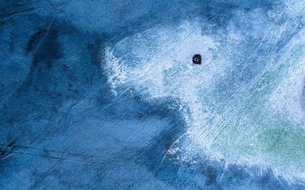 Great white shark thumbnail