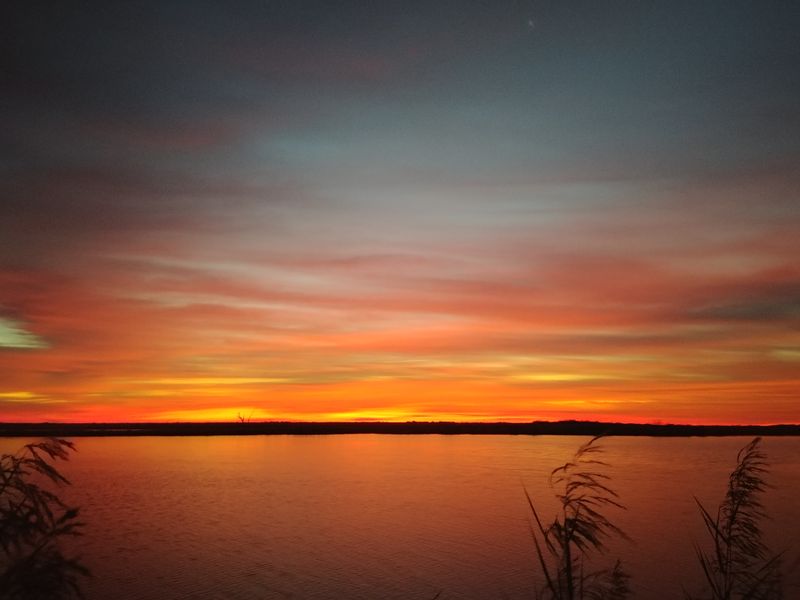 Southern Sunrise Smithsonian Photo Contest Smithsonian Magazine
