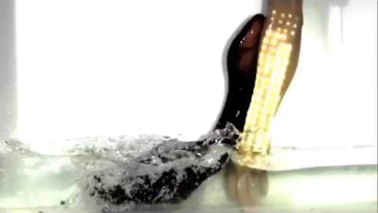 Preview thumbnail for An Electric Eel Shocks a Fake Human Arm