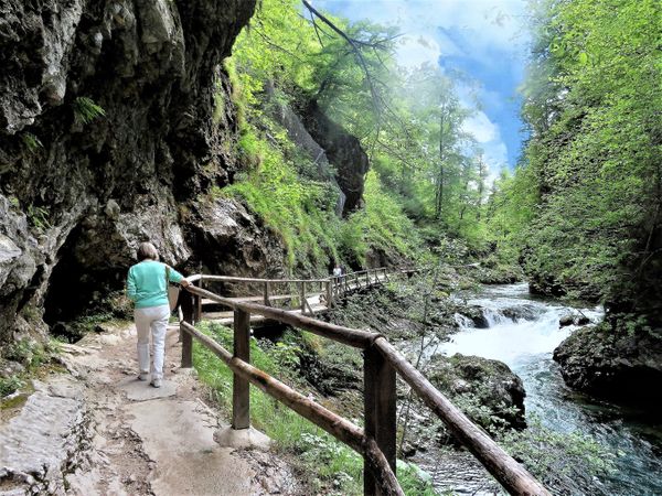 Vintgar gorge, Slovenia thumbnail