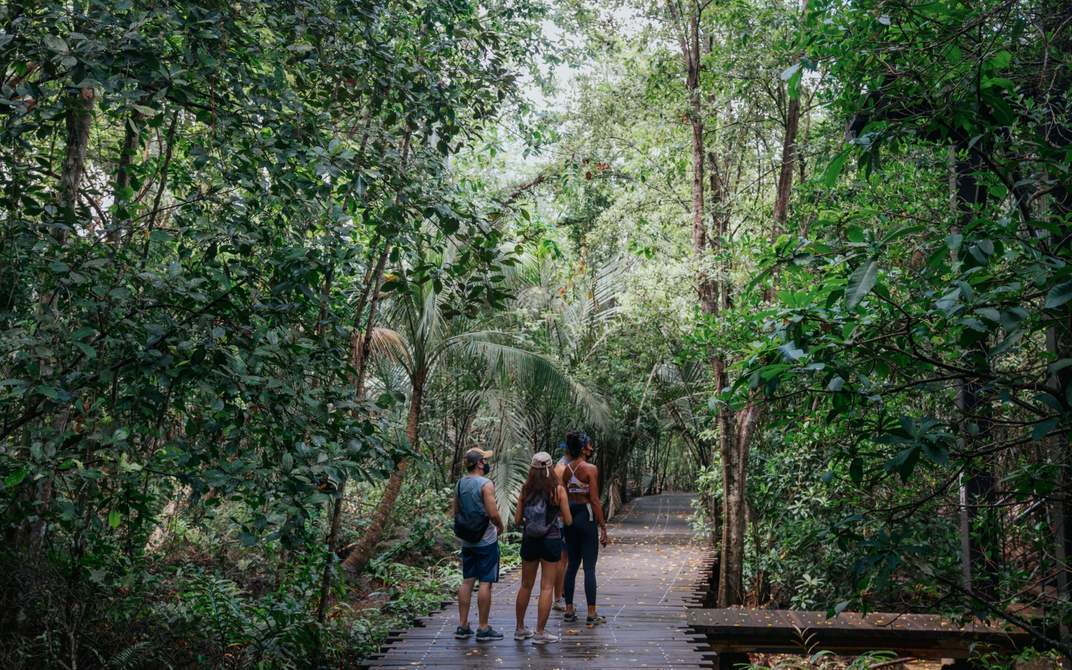 Discover the Multicultural Melting Pot of Singapore Up Close