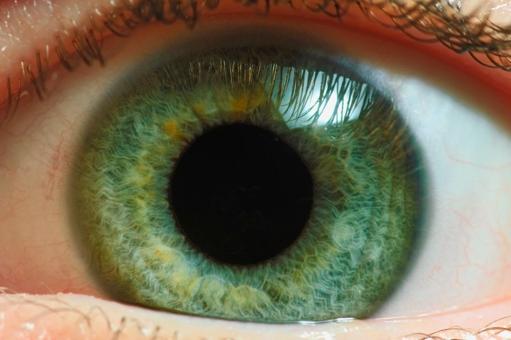 eye