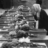 When an American Airplane Crashed Into a School in 1944, an English Village Lost Almost All of Its Youngest Children. Why Has WWII's Worst Civilian Aviation Accident Been Forgotten? icon