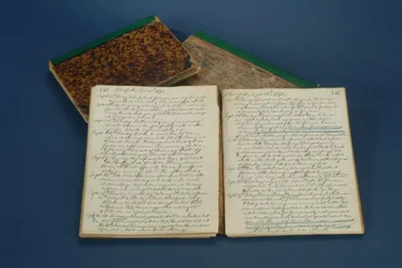 William Steinway Diary