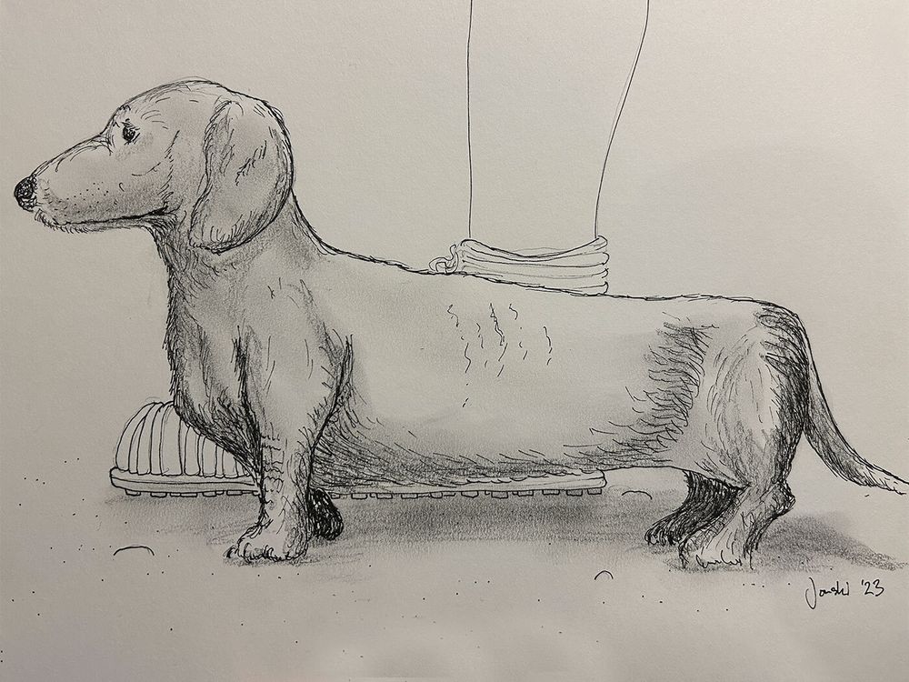 Drawing of the Dog