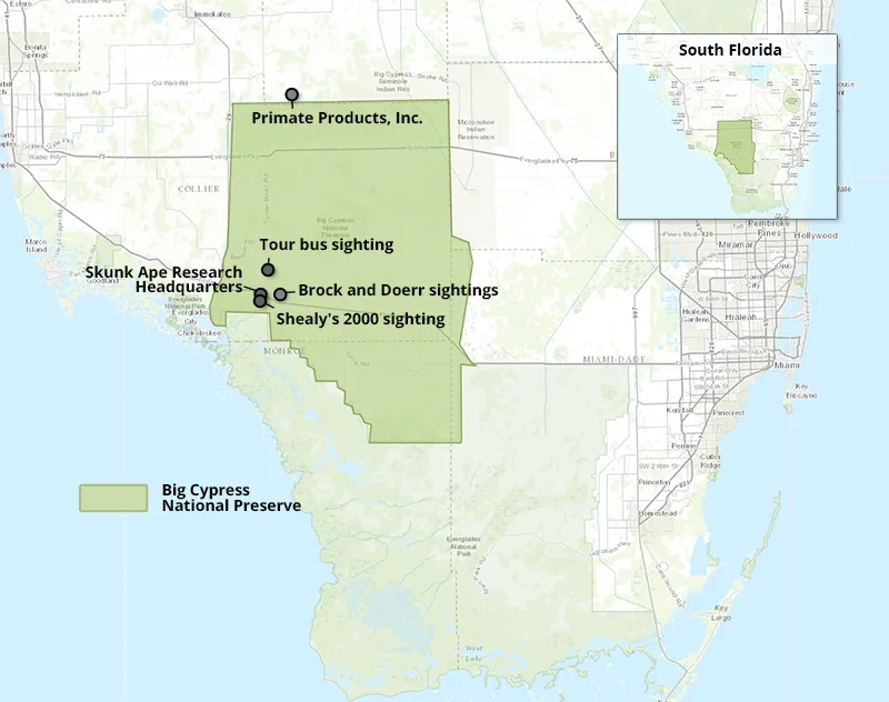 On the Trail of Florida's Bigfoot—the Skunk Ape