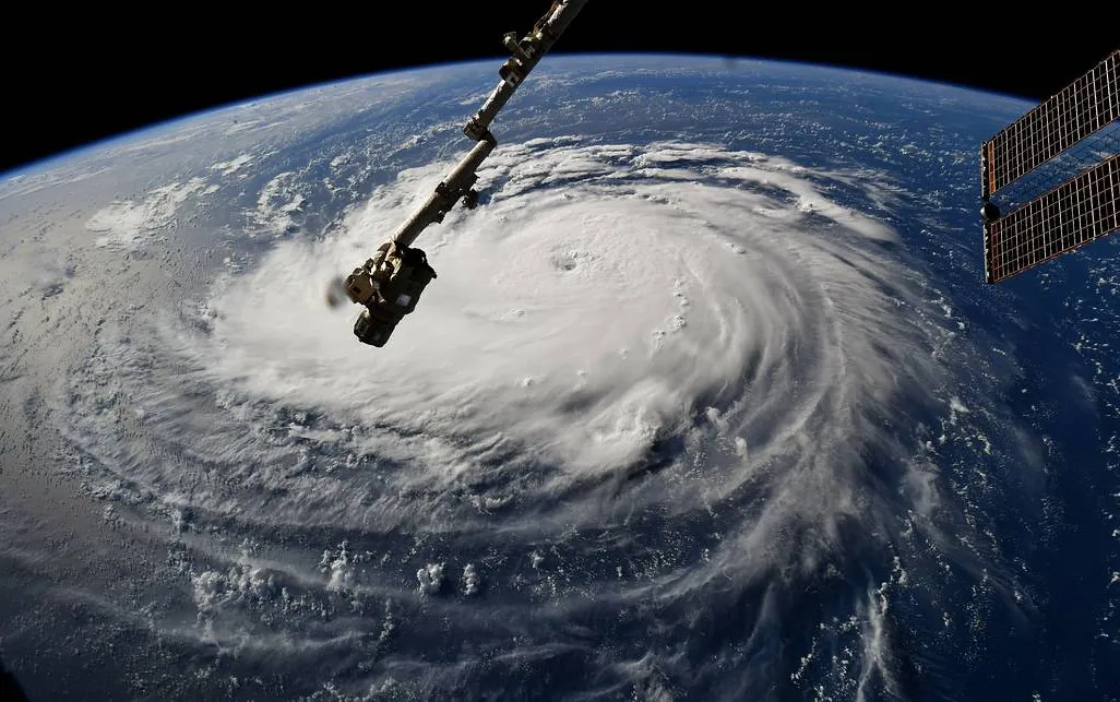 florence.jpeg