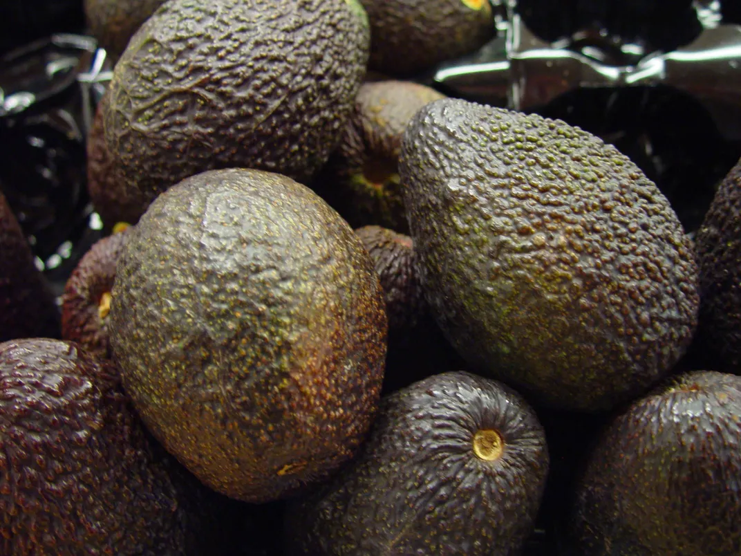 avocado