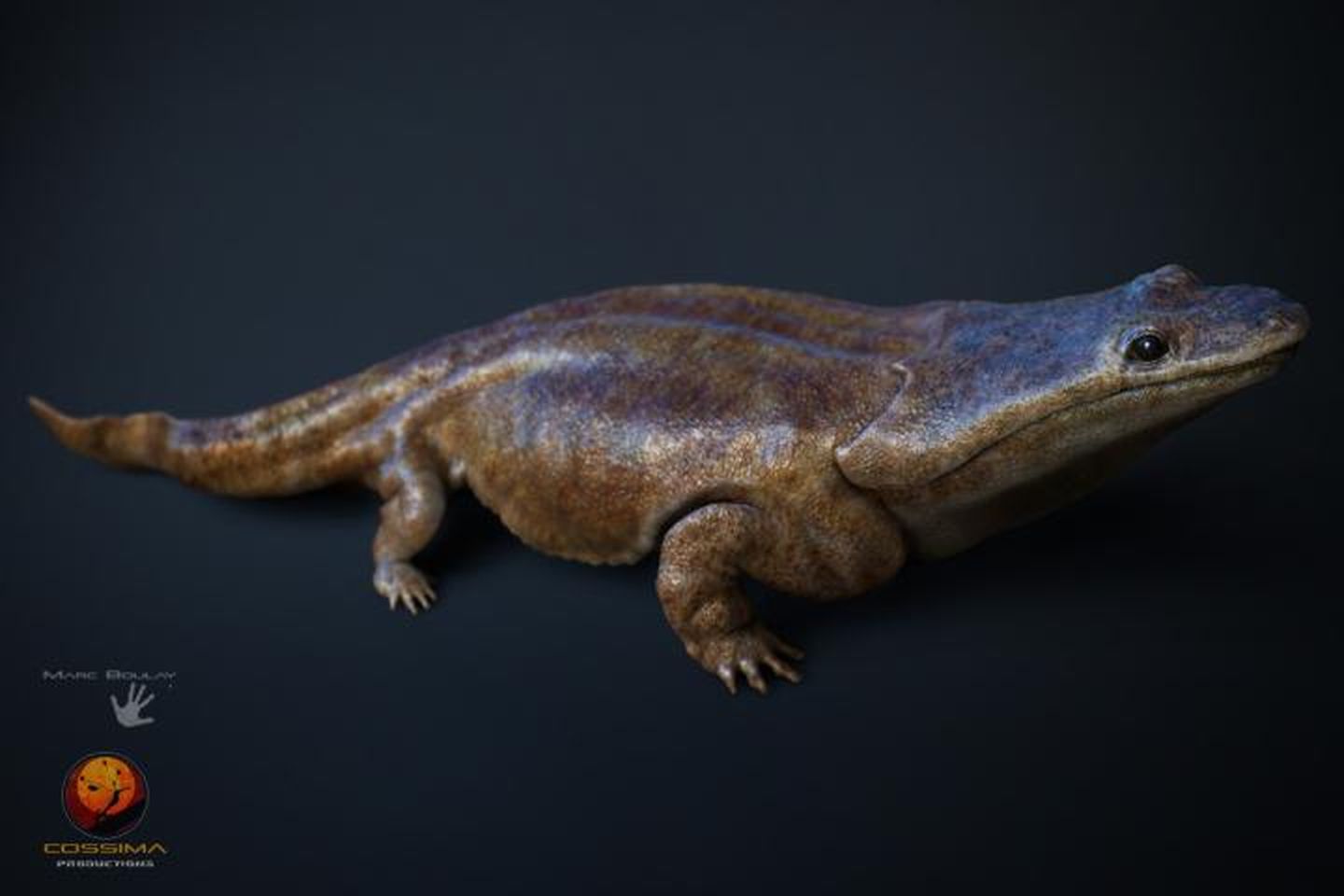 Hundreds of Car-Sized Fossil Amphibians Found in a Mass Grave