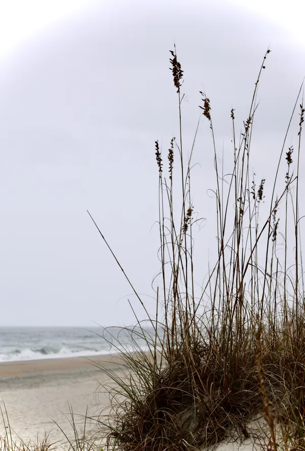 Whispering Dunes thumbnail