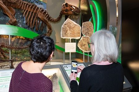 Museum staff, Laura Donnelly-Smith and Sally Love, try out the new audio description app in the “Hall of Fossils – Deep Time.” (Lucia RM Martino, Smithsonian Institution)