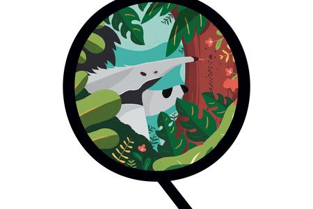 One reader wonders: Why did ants make it all over the Americas while anteaters didn&rsquo;t?

&nbsp;