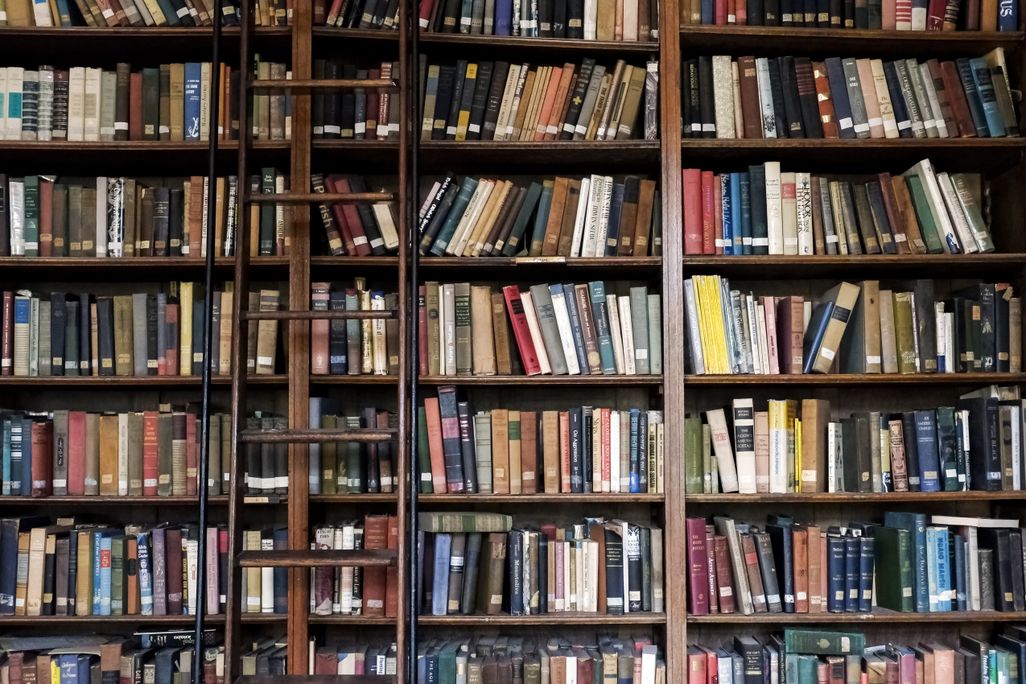 Shelves of books