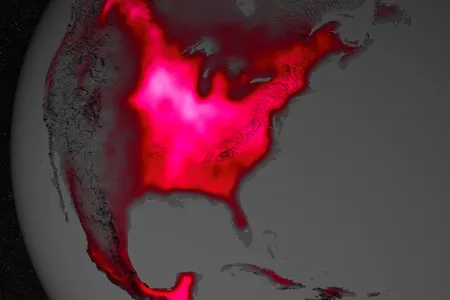 The Midwest aglow with a visualization of photosynthetic fluorescence.