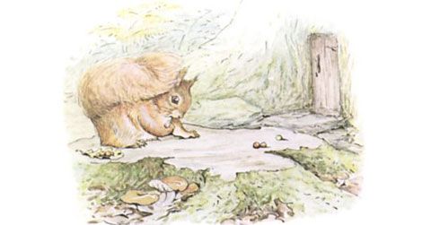 20120206115024beatrix-potter-illustration.jpg