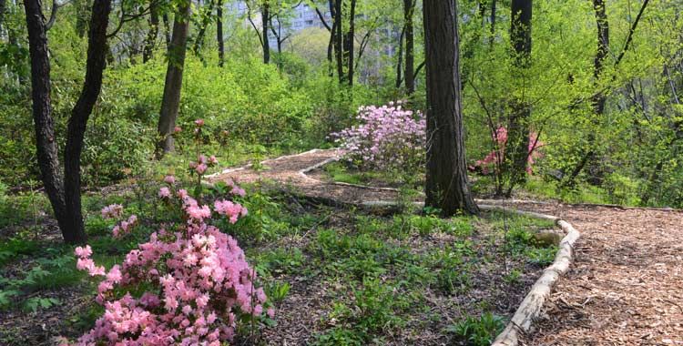 Hallett Nature Sanctuary