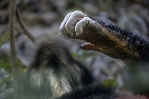 Scratching hand thumbnail